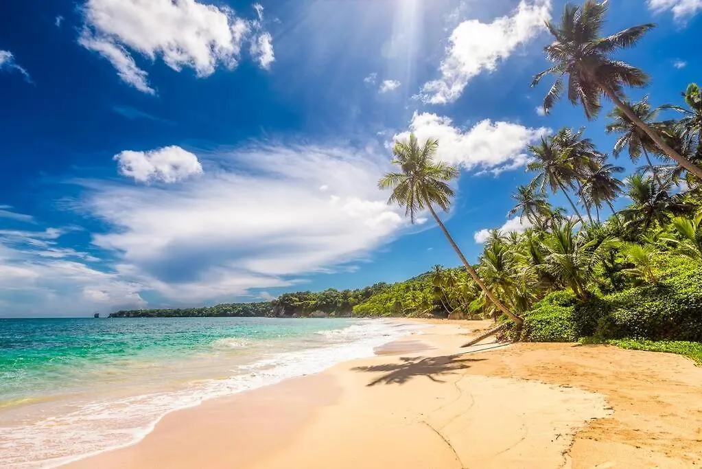 公寓 Beach House Bloom - Cabarete Luxury Rentals